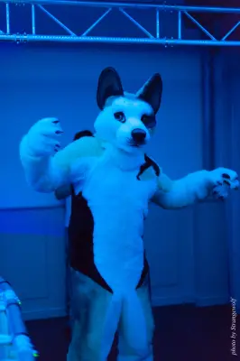 IMG_5460-lr16t.jpg of DFD/DFD2017/