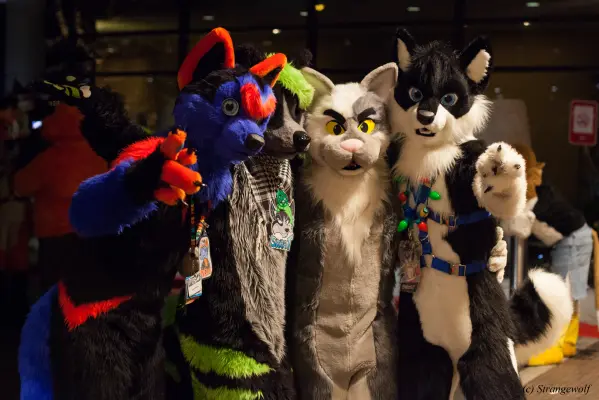 IMG_6577-lr.JPG of MFF/MFF2015/