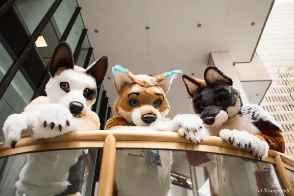 IMG_1702-lr19t.jpg of FWA/FWA2018/