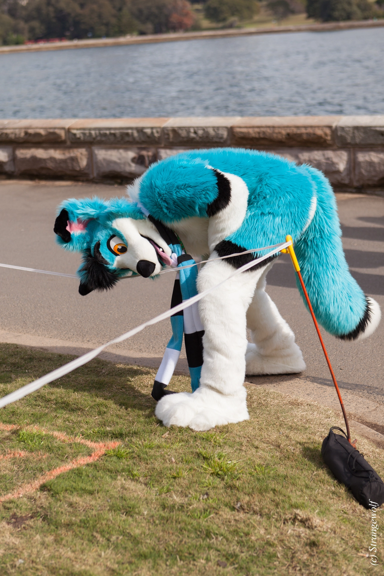 full image IMG_4351-lr19t.jpg