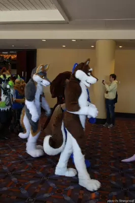 IMG_0543-lr.jpg of MFF/MFF2013/
