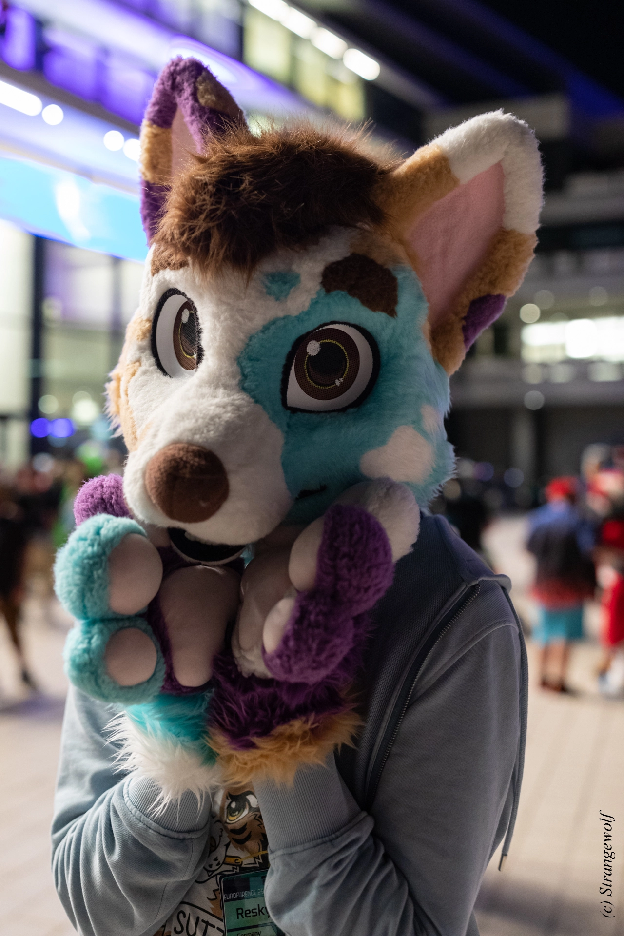 full image 1R3A9449-lr19t.jpg