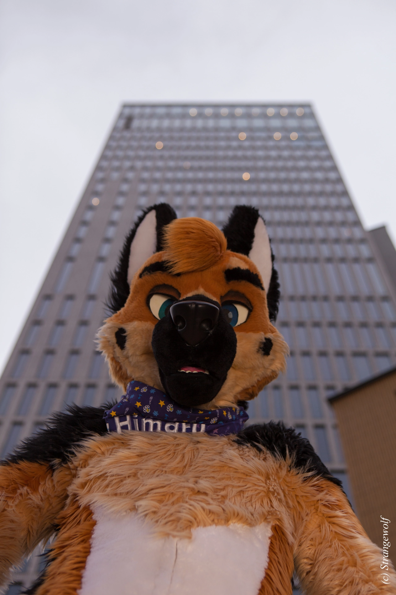 full image IMG_9050-lr19t.jpg