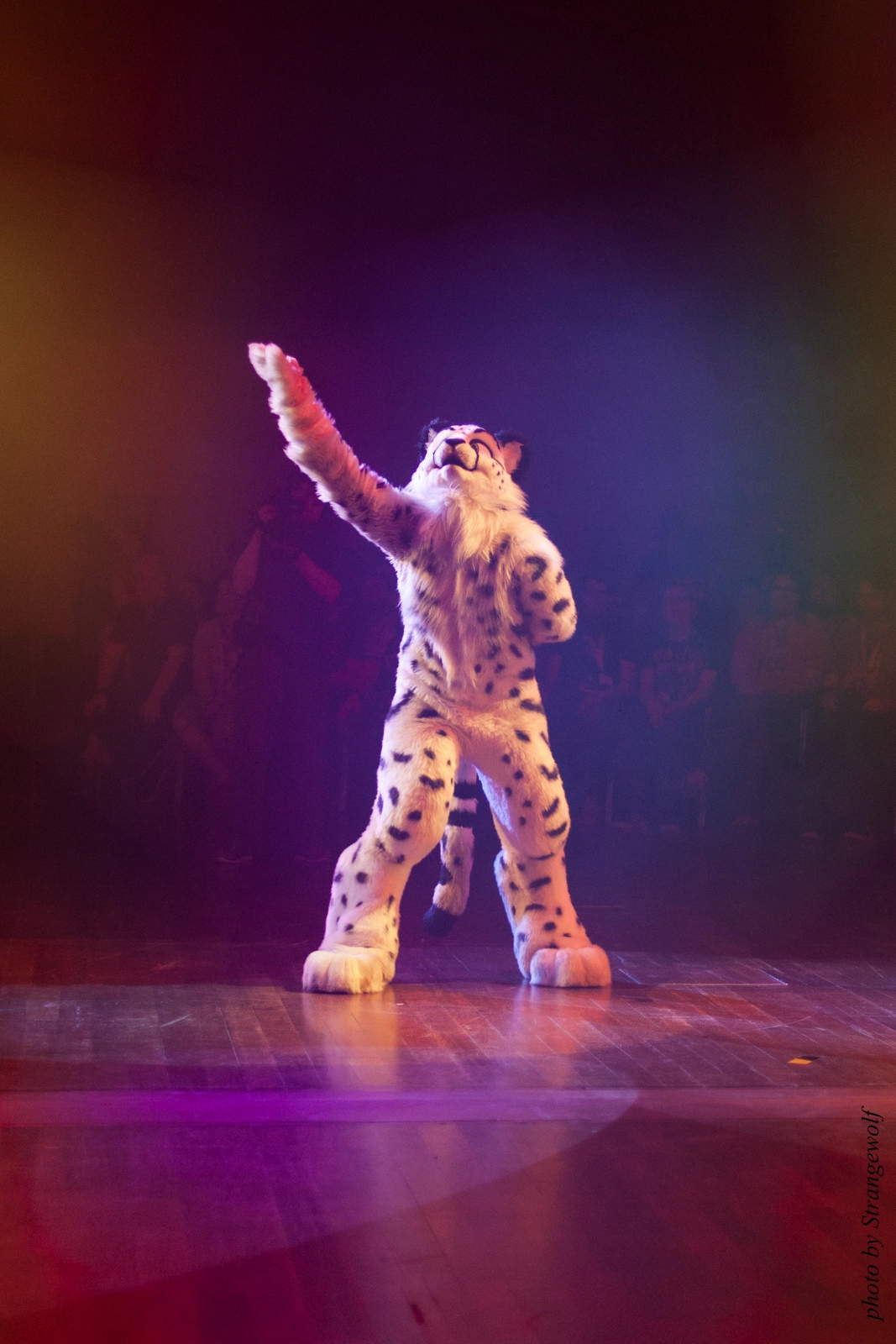 full image IMG_2588-lr16t.jpg