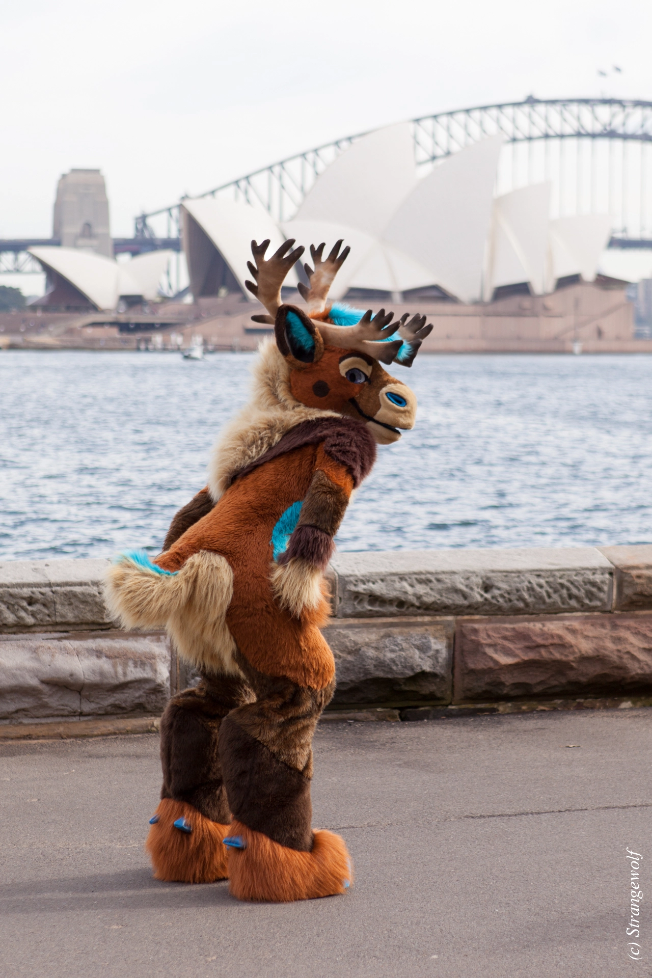 full image IMG_4318-lr19t.jpg