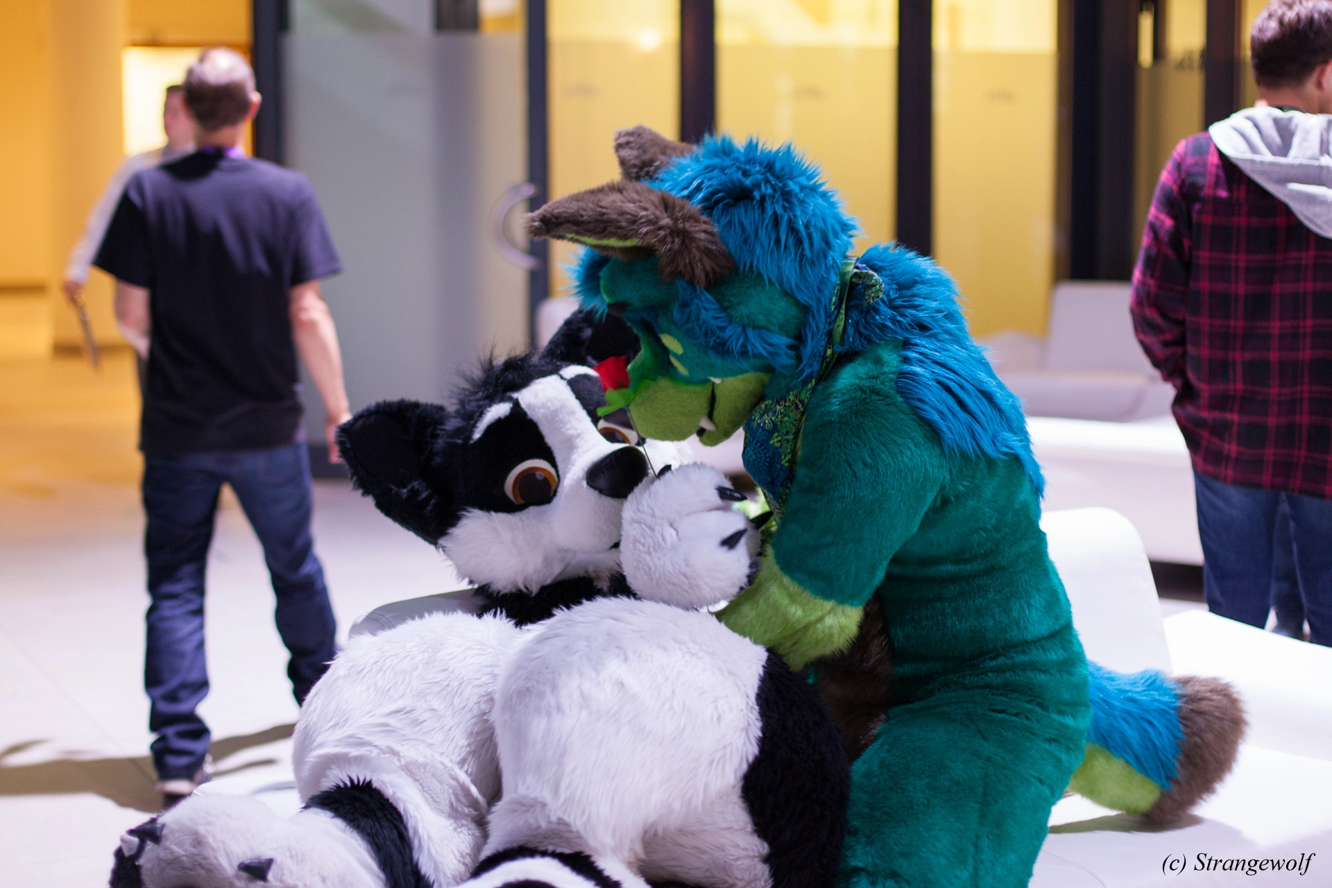 full image IMG_5383-lr19t.jpg