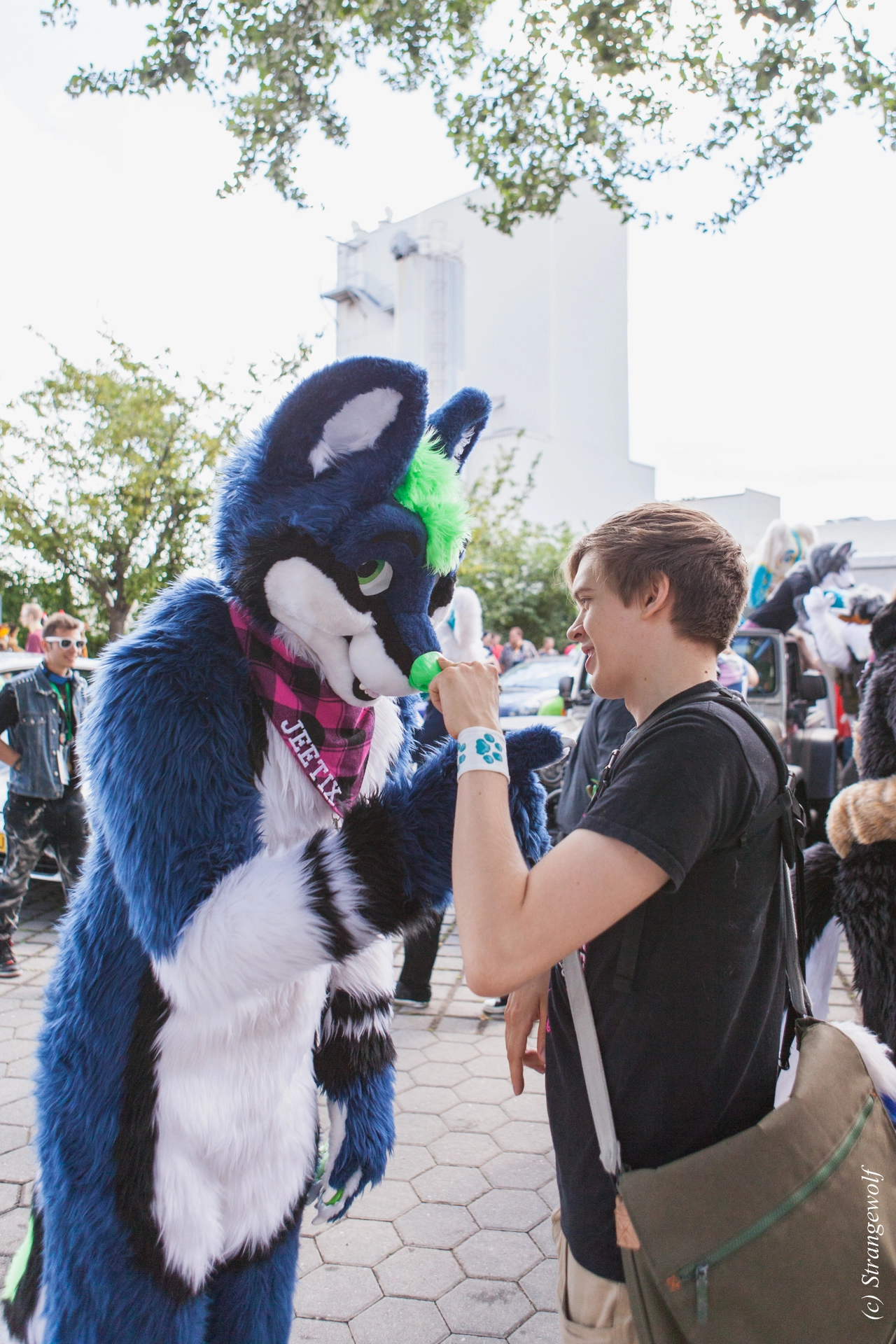 full image IMG_6902-lr19t.jpg