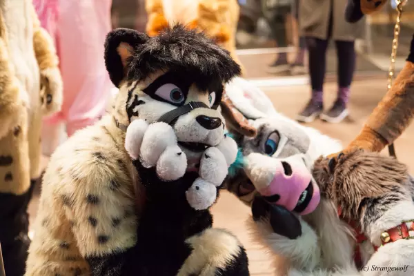 IMG_6883-lr19t.jpg of MFF/MFF2018/