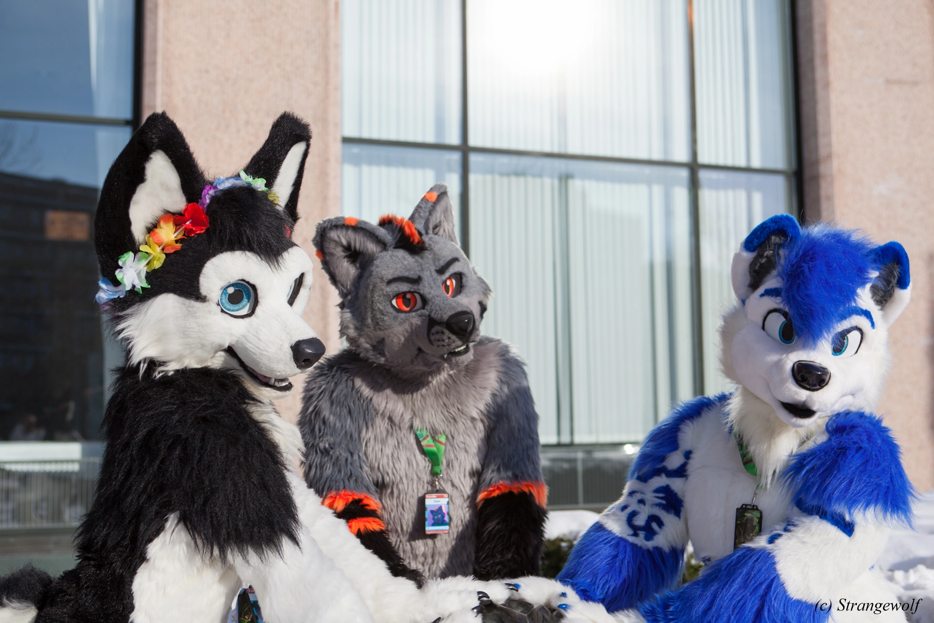 full image IMG_9663-lr19t.jpg