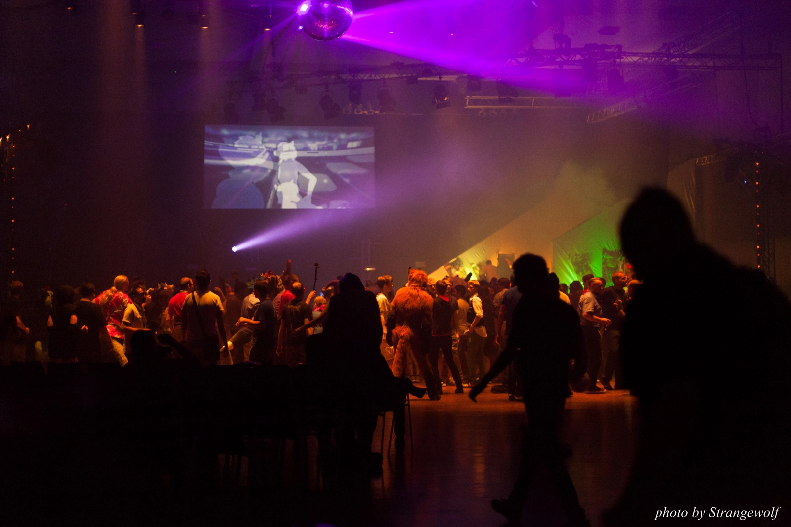 full image IMG_1642-lr16t.jpg