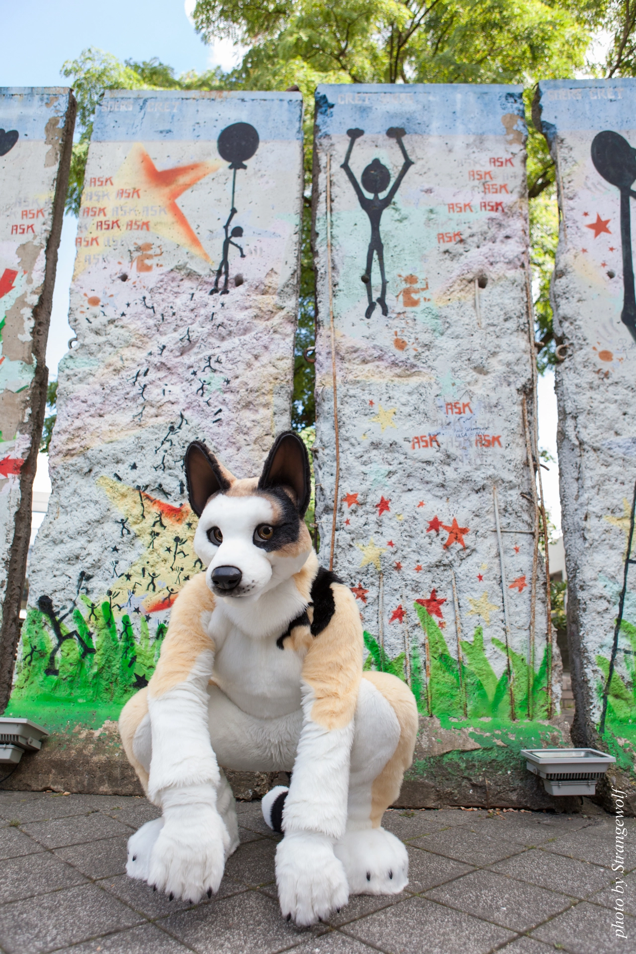 full image IMG_7136-lr19t.jpg
