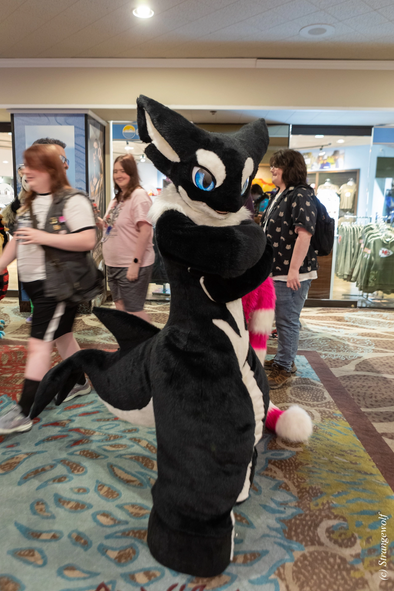 full image 1R3A3131-lr19t.jpg