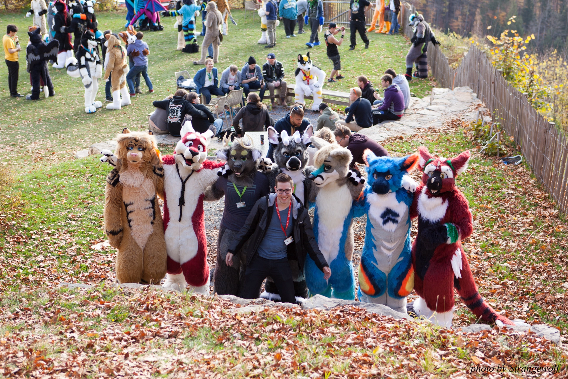 full image IMG_7845-lr19t.jpg