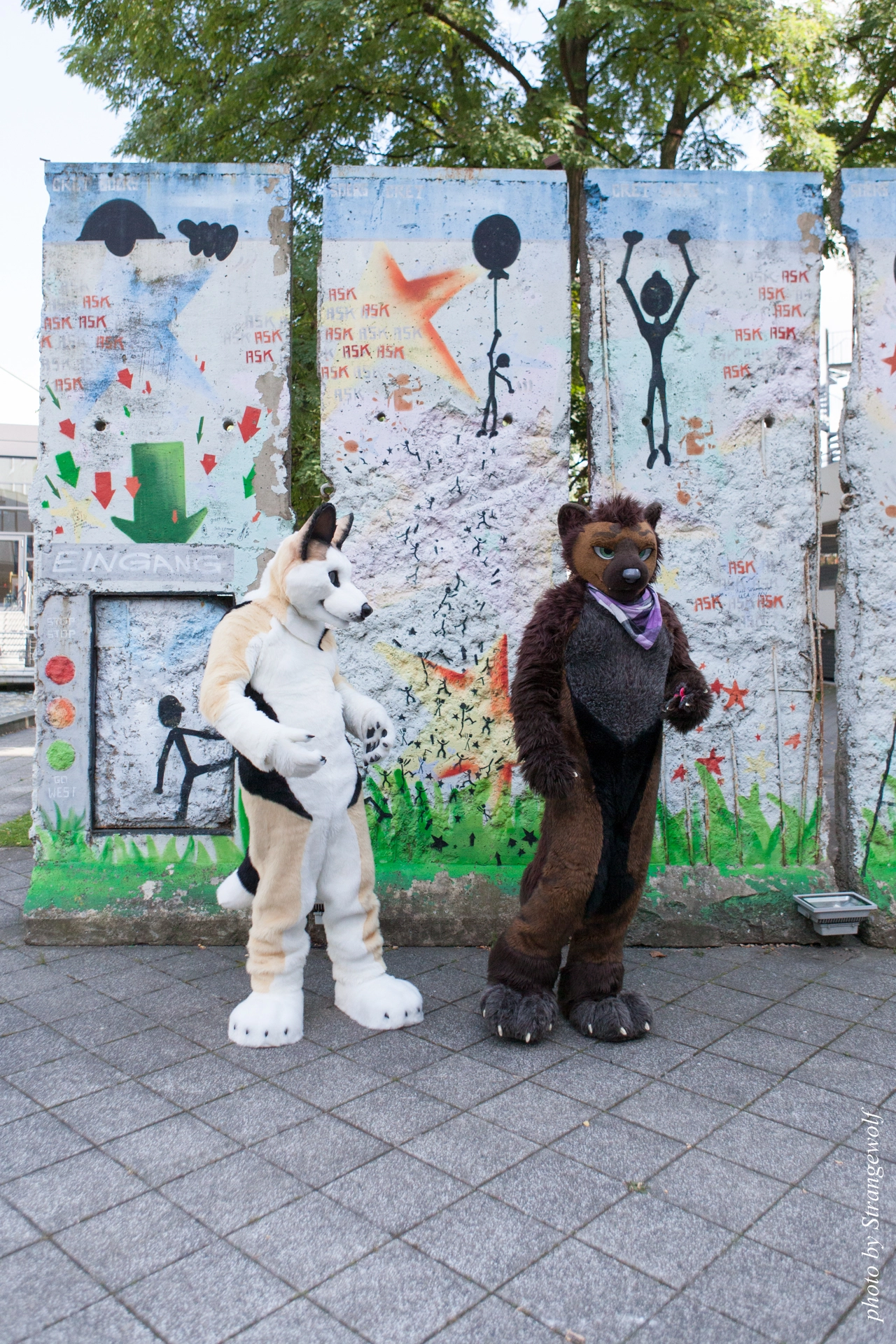 full image IMG_7060-lr19t.jpg