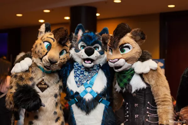 IMG_7616-lr.jpg of MFF/MFF2018/