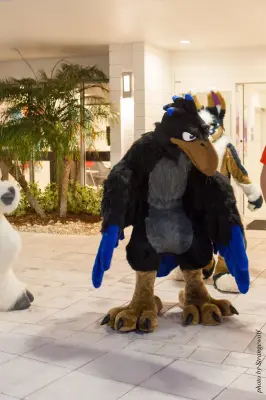 IMG_8437-lr16t.jpg of ESG/ESG2015/