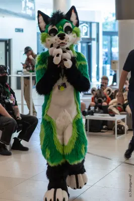 1R3A9235-lr19t.jpg of EF/EF29/