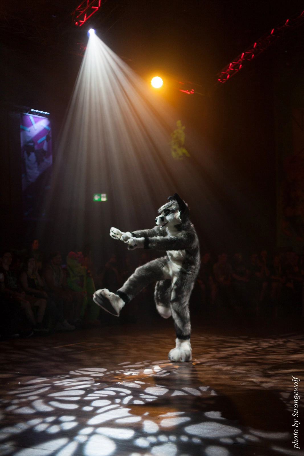 full image IMG_9302-lr16t.jpg