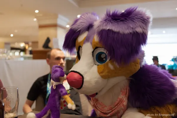 IMG_7493-lr16t.jpg of CFZ/CFZ2016/