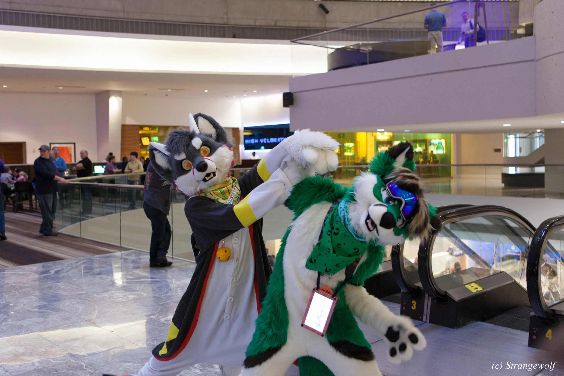 full image IMG_1265-lr19t.jpg