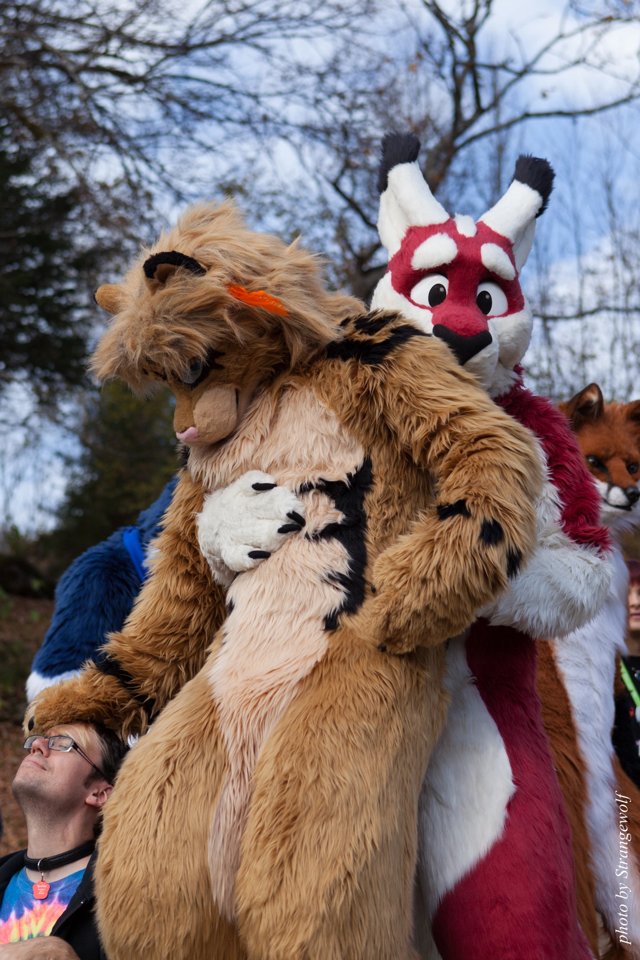 full image IMG_7768-lr19t.jpg