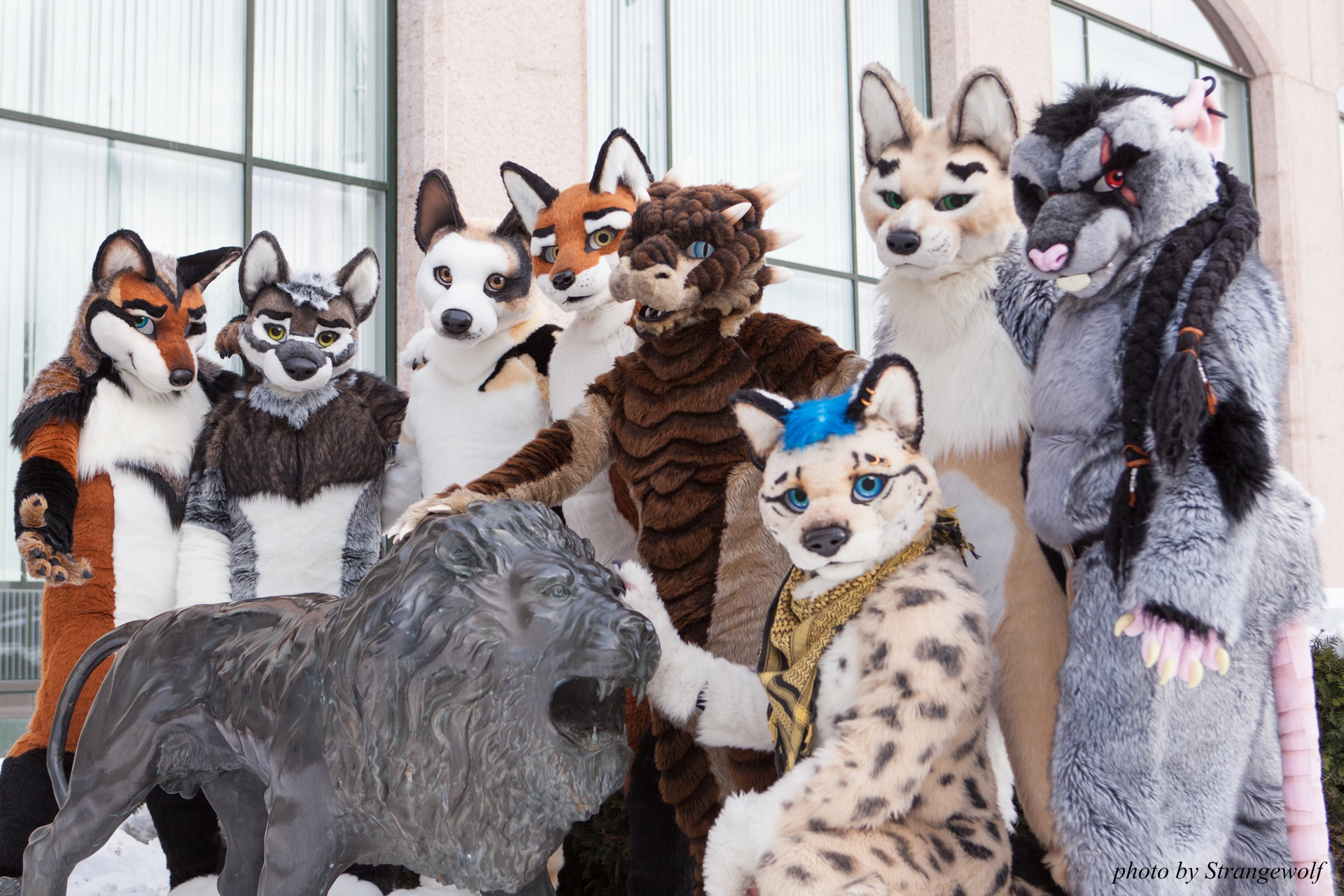 full image IMG_0292-lr19t.jpg