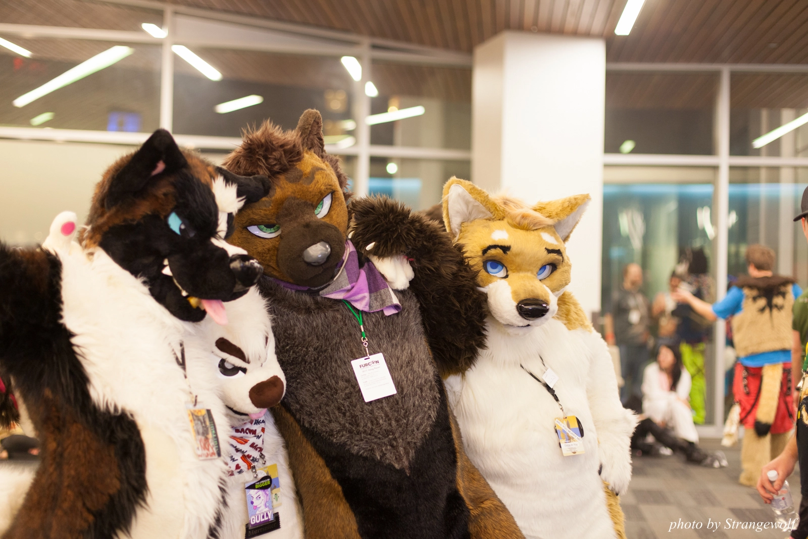 full image IMG_1207-lr16t.jpg