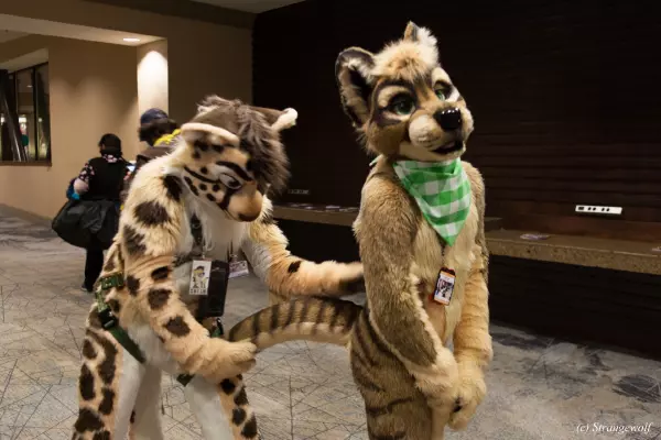 IMG_3976-lr19t.jpg of TFF/TFF2022/
