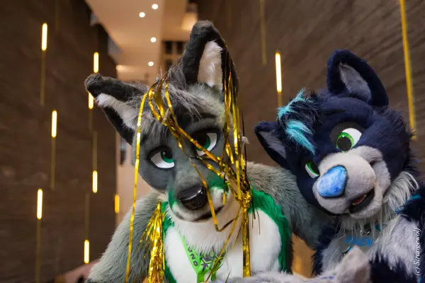 IMG_8325-lr19t.jpg of NFC/NFC2020/