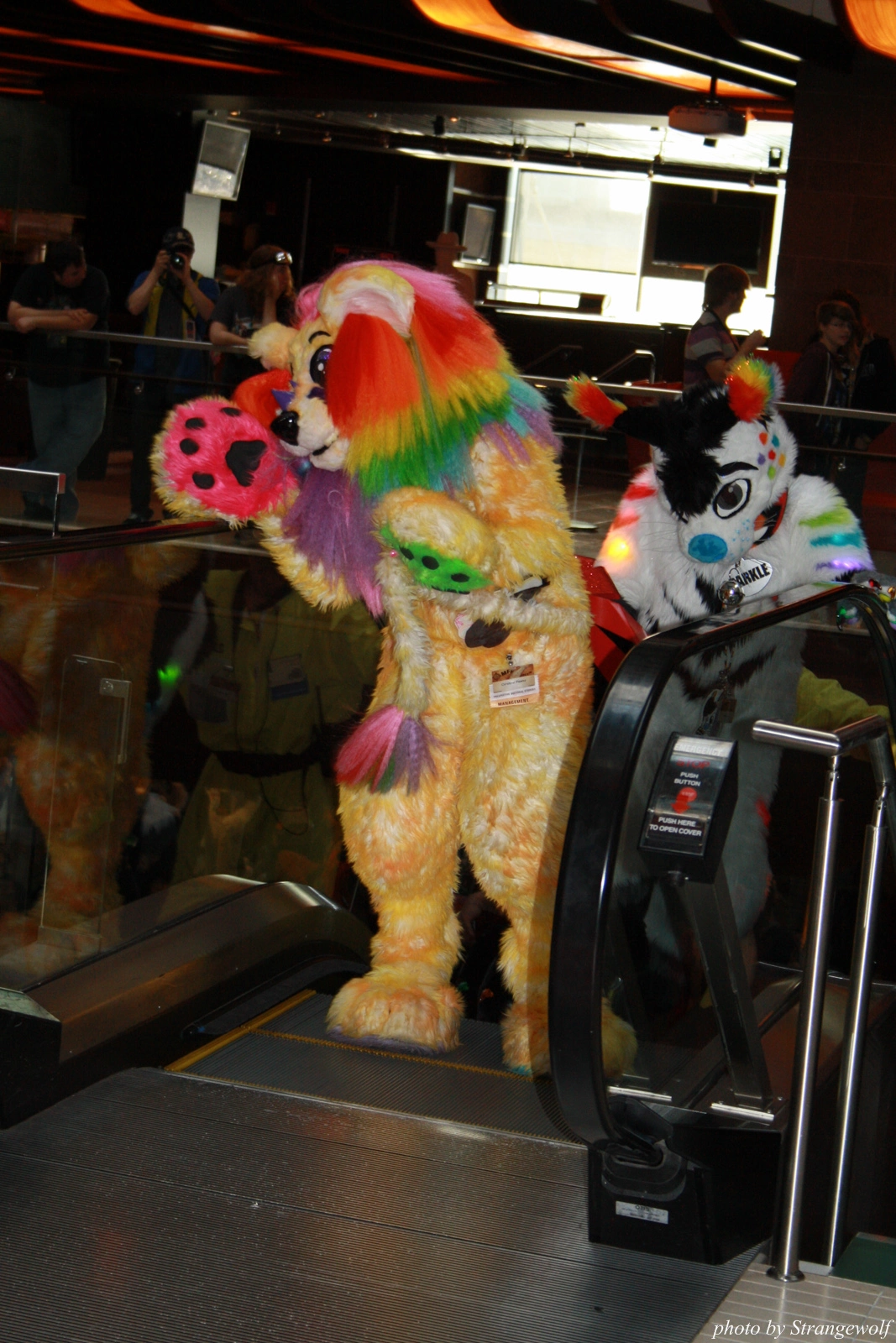 full image IMG_0602-lr.jpg