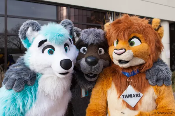 IMG_8350-lr19t.jpg of MFF/MFF2017/