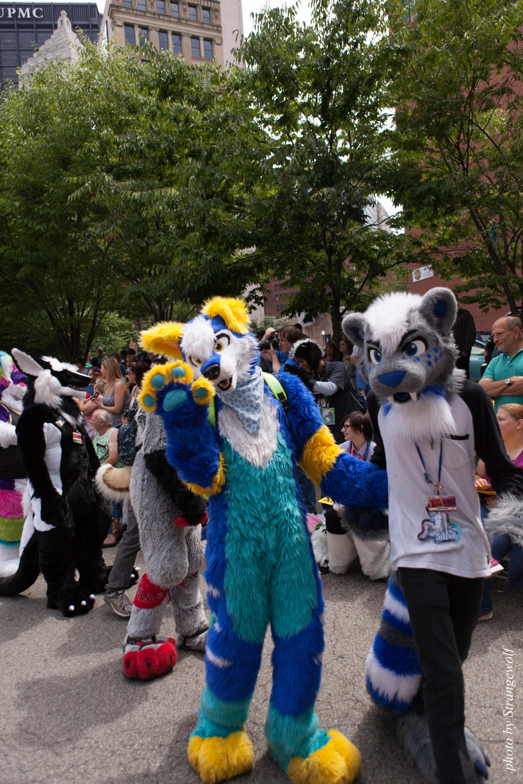 full image IMG_8062-lr16t.jpg