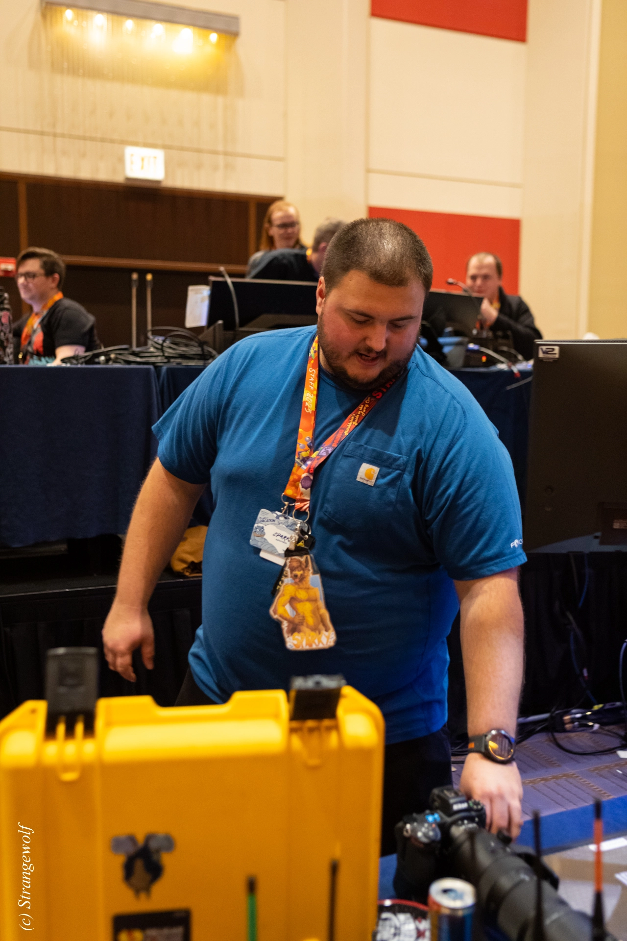 full image 1R3A0311-lr19t.jpg