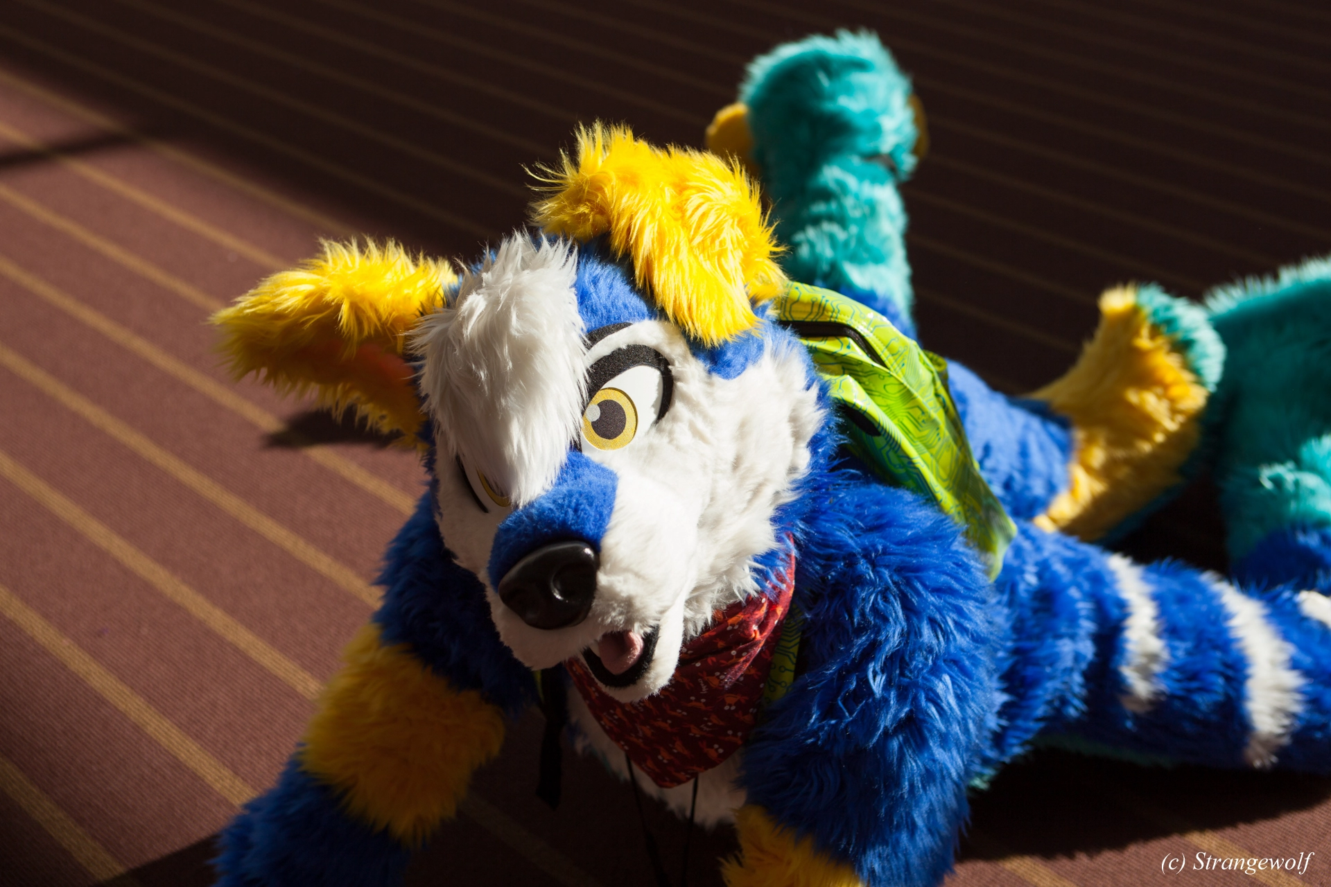 full image IMG_4384-lr19t.jpg