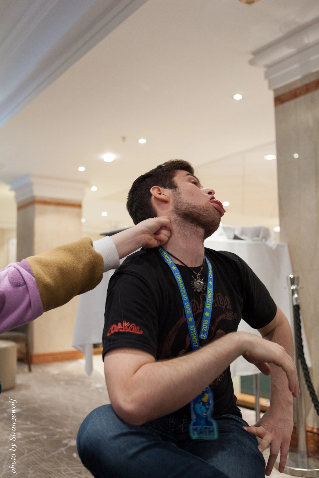 full image IMG_7359-lr16t.jpg