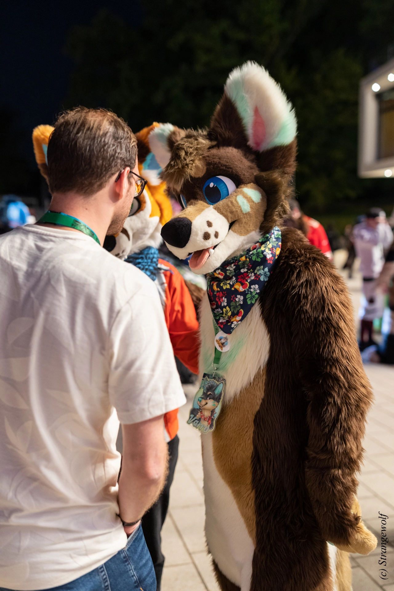 full image 1R3A9491-lr19t.jpg