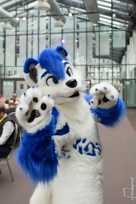 IMG_5359-lr19t.jpg of EF/EF24/