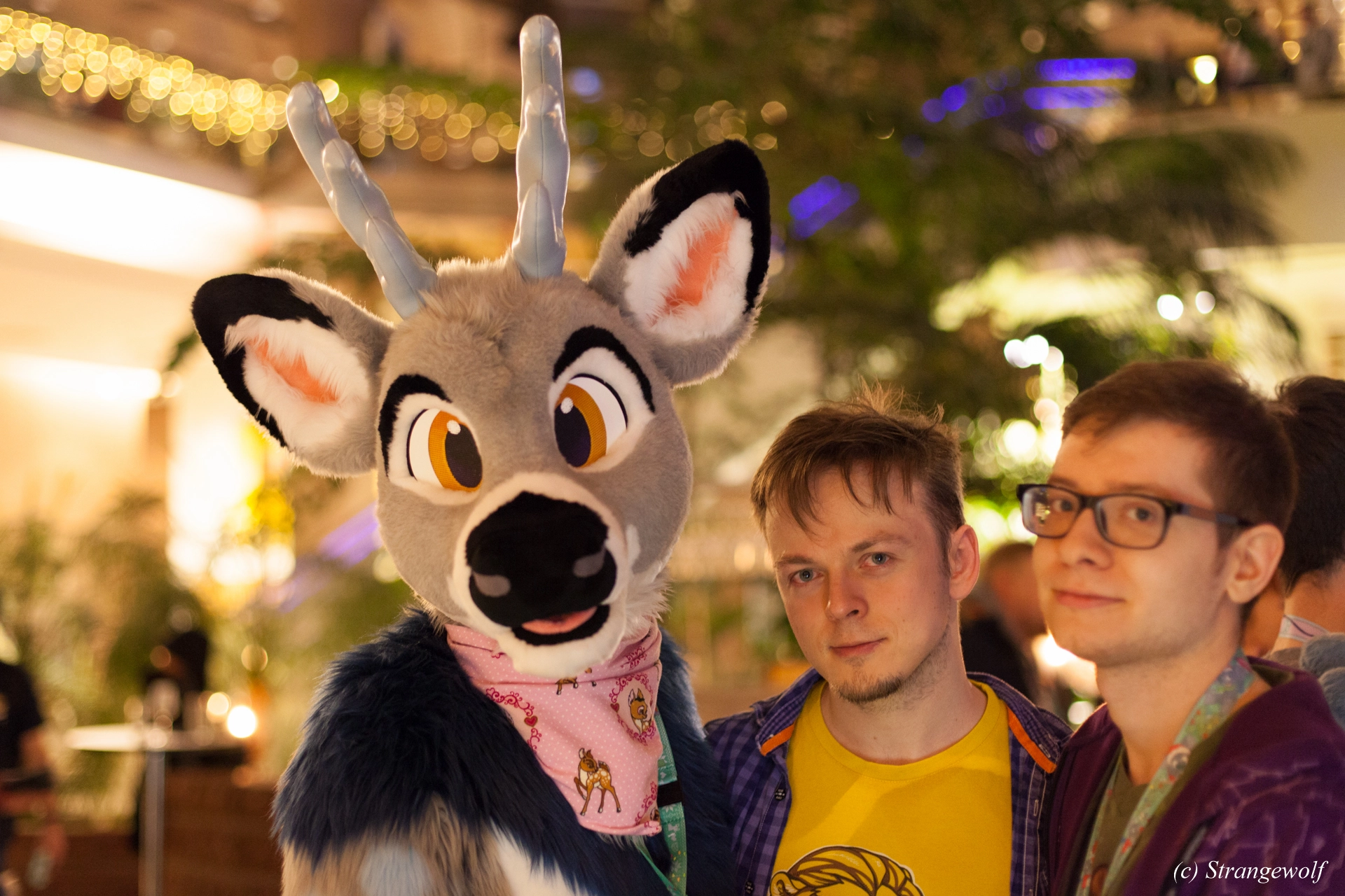 full image IMG_9714-lr19t.jpg