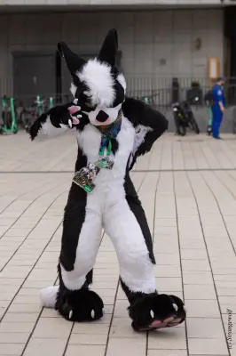 1R3A9172-lr19t.jpg of EF/EF29/