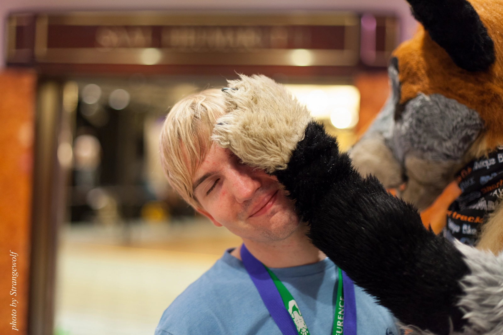 full image IMG_8861-lr16t.jpg