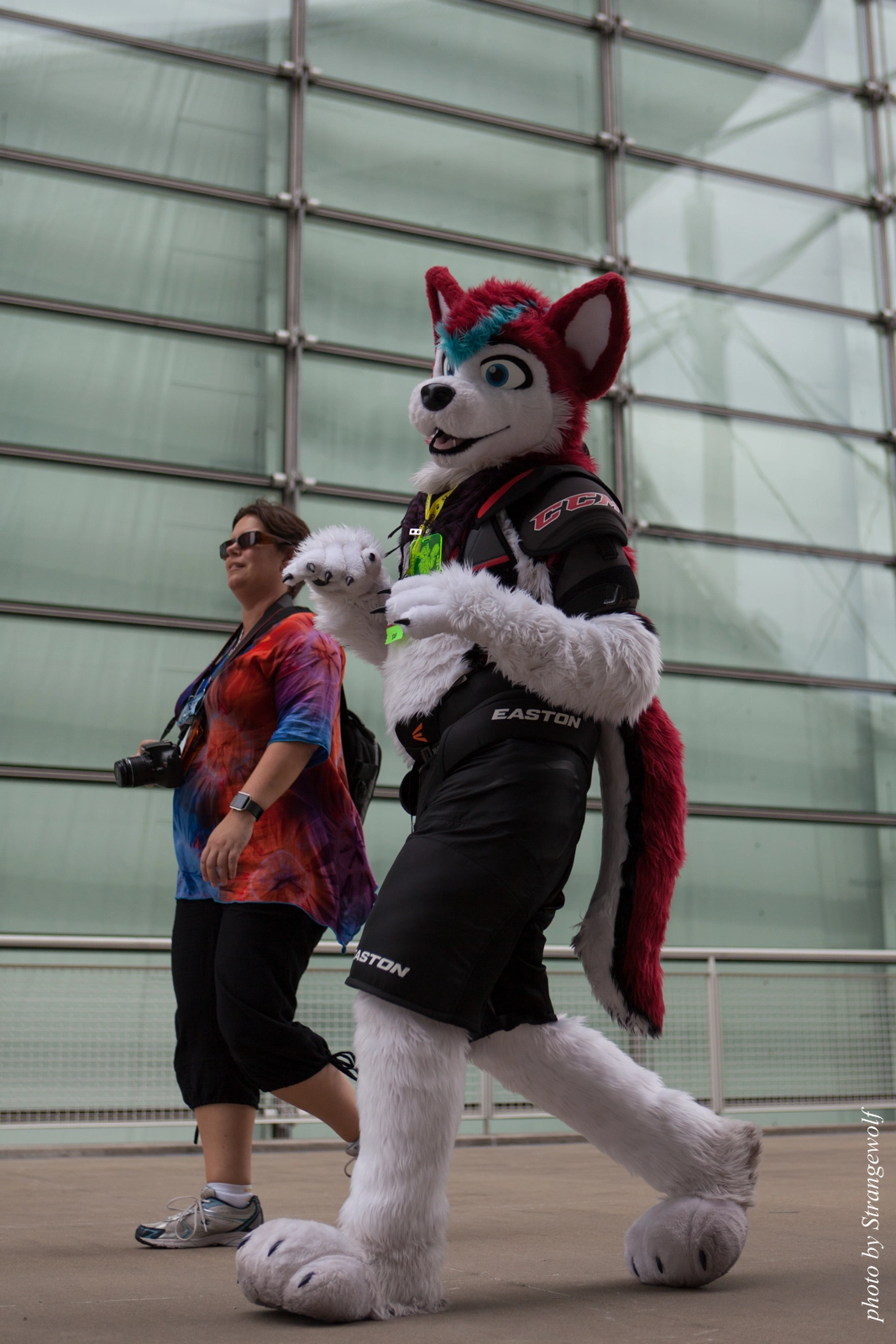 full image IMG_8214-lr16t.jpg