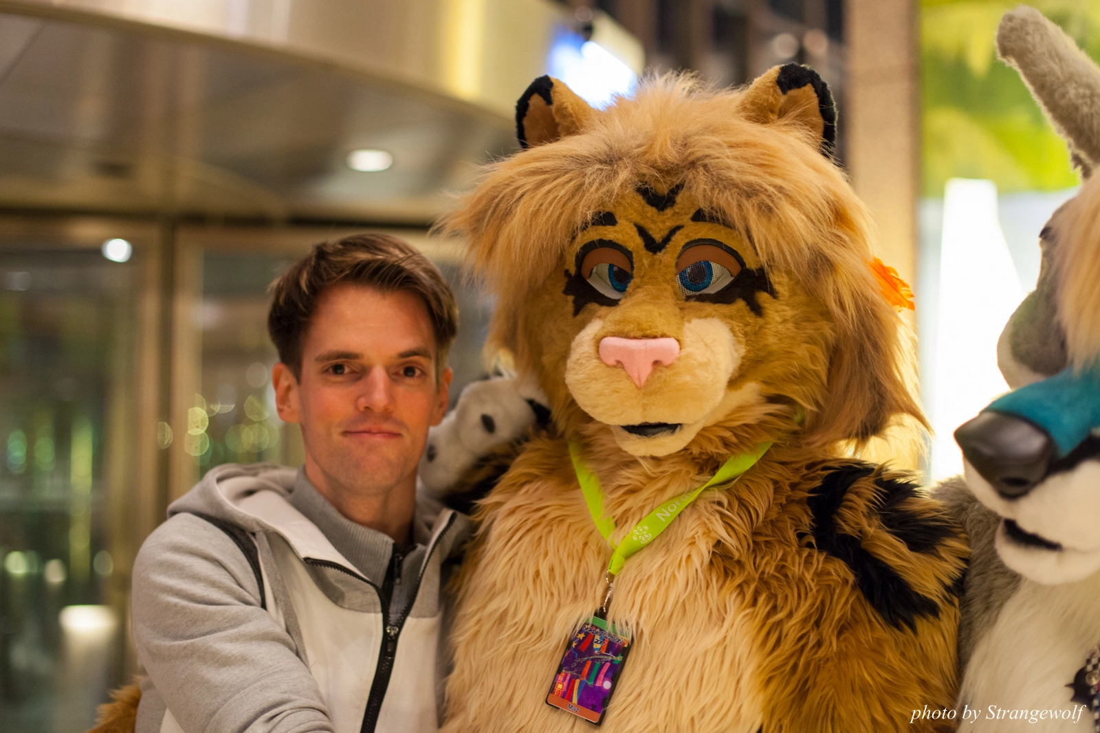 full image IMG_1522-lr16t.jpg