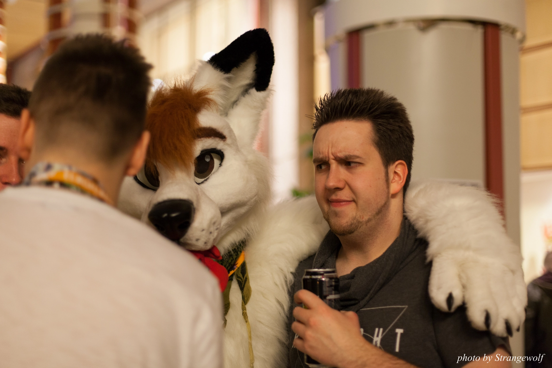 full image IMG_9215-lr19t.jpg