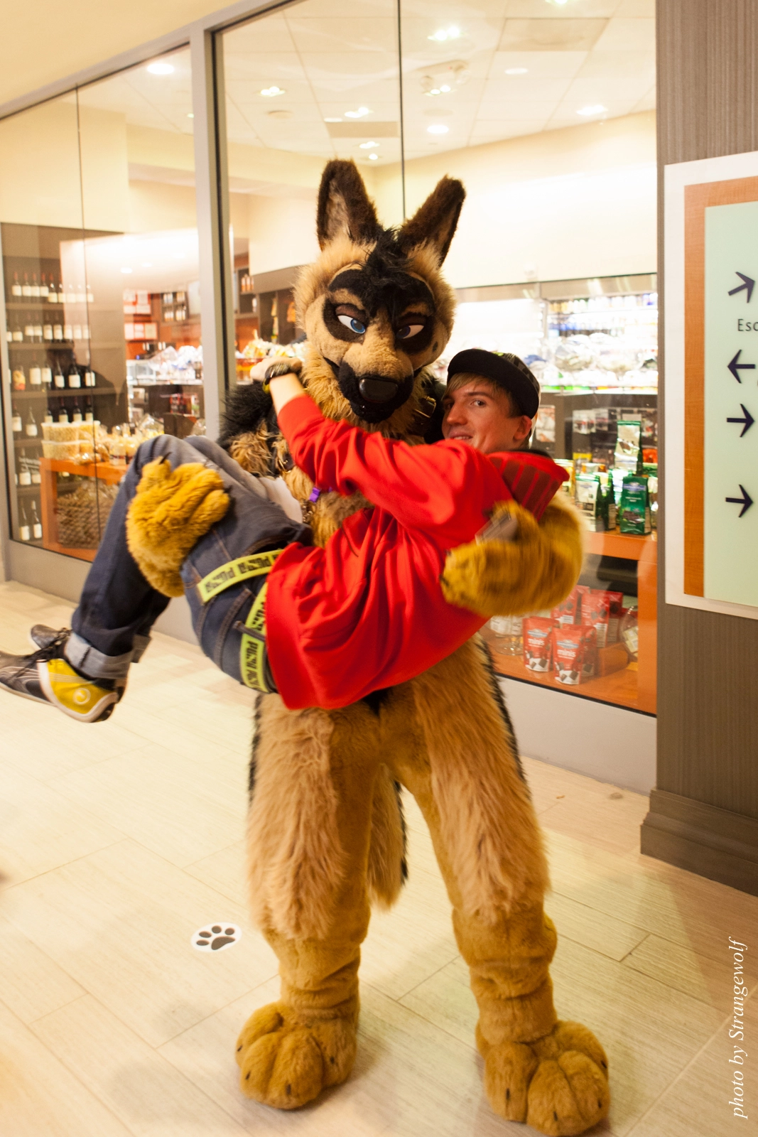 full image IMG_1325-lr16t.jpg