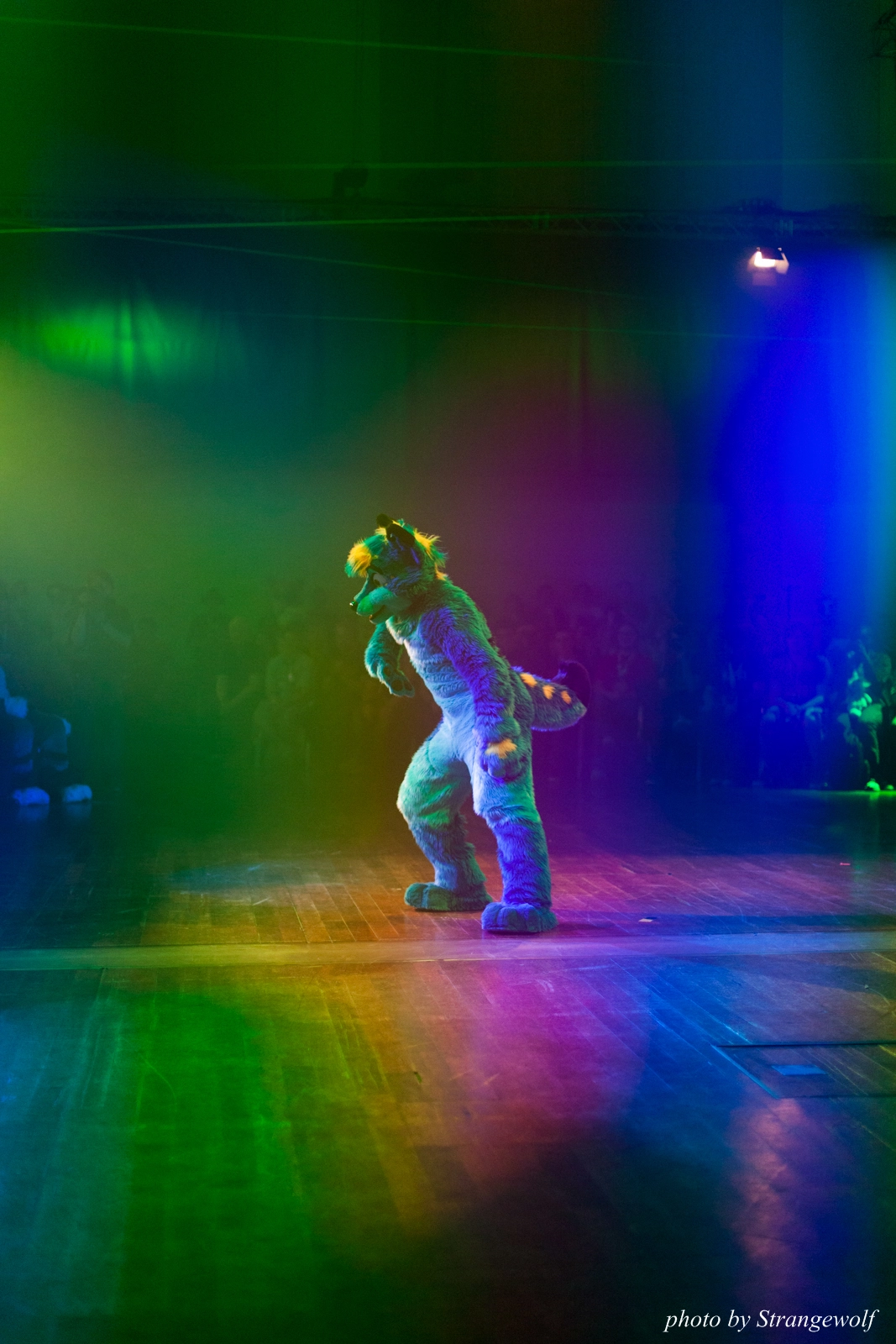 full image IMG_2827-lr16t-2.jpg