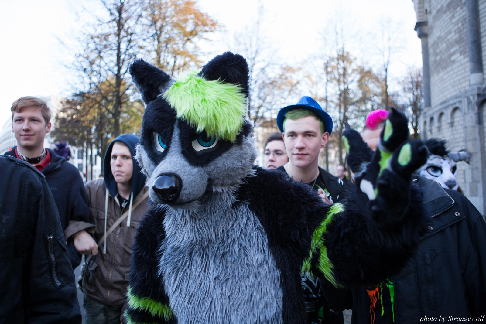 full image IMG_5290-lr16t.jpg