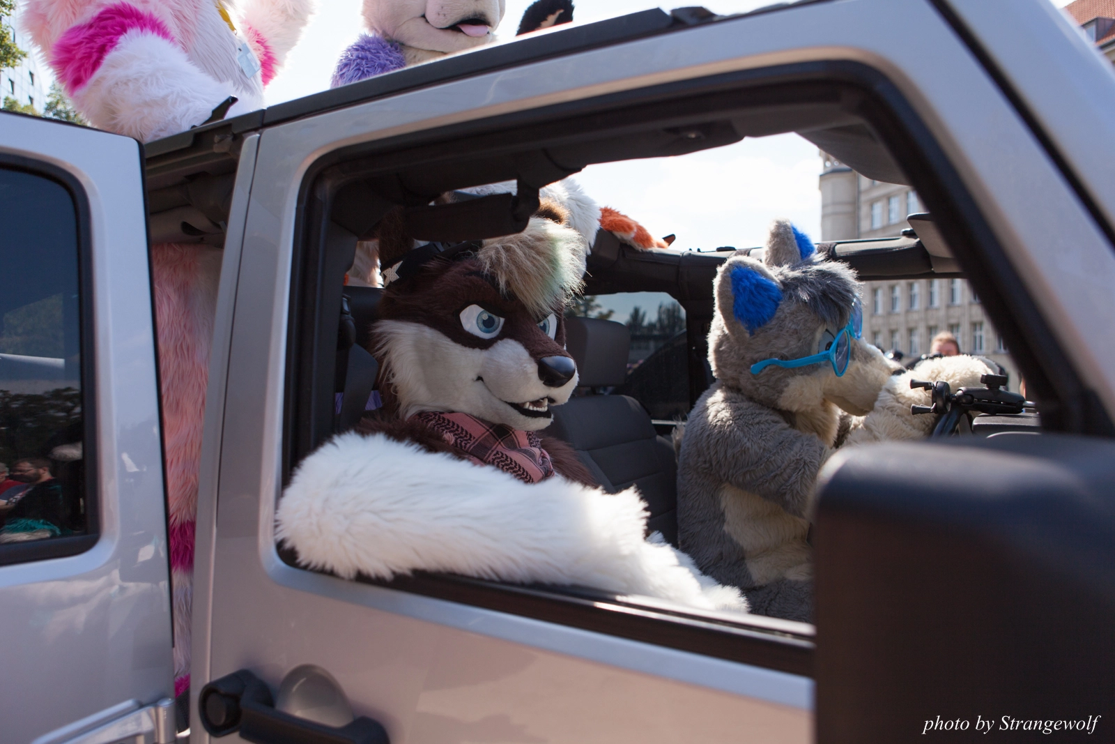 full image IMG_2225-lr16t.jpg