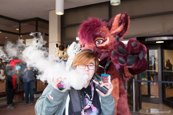 IMG_8440-lr19t.jpg of MFF/MFF2017/