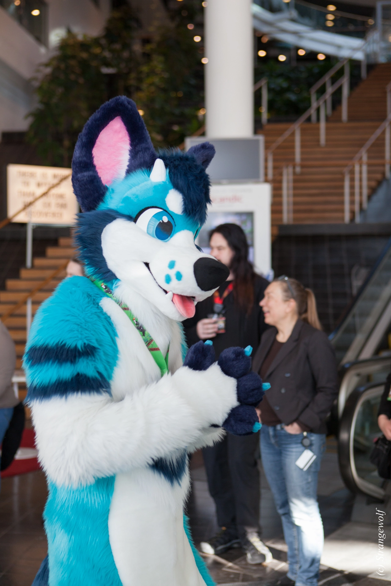 full image IMG_9496-lr19t.jpg