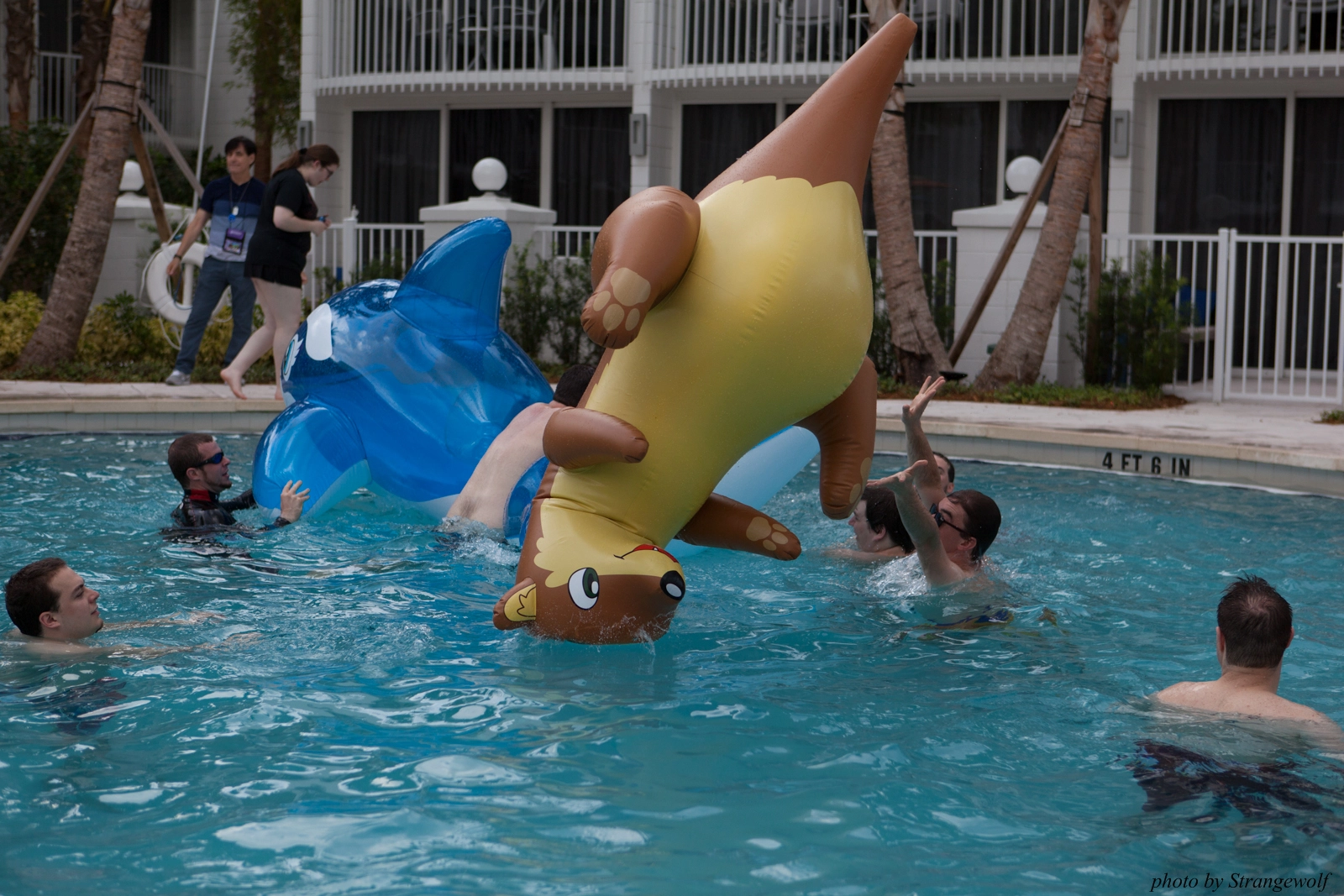 full image IMG_8311-lr16t.jpg